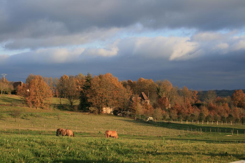 La Rolandie Haute Limeuil Exterior foto